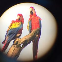 Randy Cortés Garcia's Photo