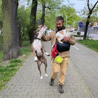 Fotos de Oleg Postupalsky