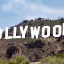  Hike to Wisdom Tree & Hollywood Sign's picture
