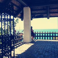 lien vertessen的照片