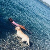 Zdjęcia użytkownika Maya Sfeir