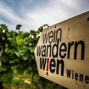 Vienna Wine Hike's picture