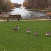 Liliana Carvalho's Photo