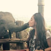 Beatriz Coura Nardy的照片