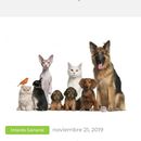 Cuidadores de mascotas en vacaciones 的照片