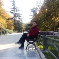 Hosein  Shams的照片