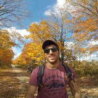 Tamir Shifroni's Photo