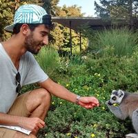 Pietro Lorenzetti的照片