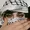 Farah El Heni's Photo