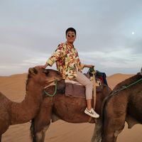 Lawrence Lee's Photo