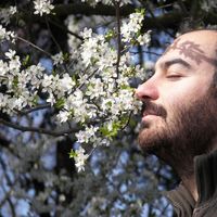 Le foto di Kostas Harala