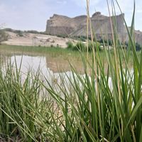 Anisa Kibriya的照片