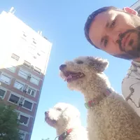 Milan Avramovic的照片