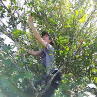 Henard Sellés的照片