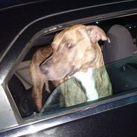 Adam Clausen's Photo