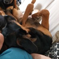 Judit Lopez的照片