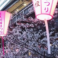 Wii Kayo&#39;s Photo