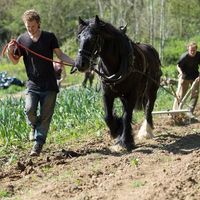 Fotos de Jake Slocombe