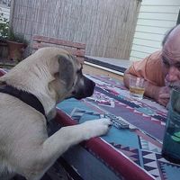 Le foto di Mark Souder