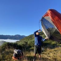 Pablo Serey的照片