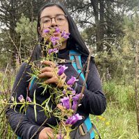 Photos de Vanessa Dàmazo