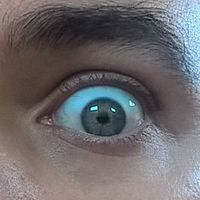 Le foto di Vasco Santo