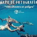 Photo Expo “vida Silvestre En Peligro”'s picture