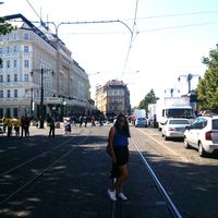 sarah safwat's Photo