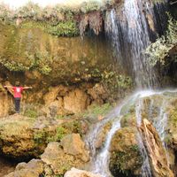 Alireza Fouladzadeh's Photo