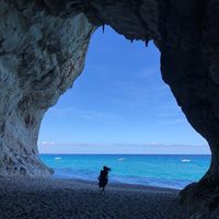 Anna Belousova's Photo