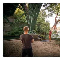 Tanager Tanager's Photo