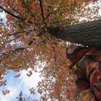 Fotos de Manuela Figueroa Leyton