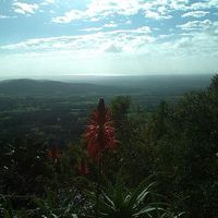 Victoria Drover's Photo