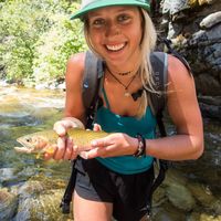 Nikki Gemmell's Photo