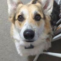 Fotos de Leann Emery