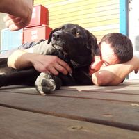 Eyal Kosowsky's Photo