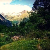 Patrycja Zybińska的照片