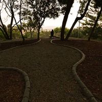 Faride Levano的照片