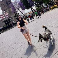 Xiady Serrano的照片