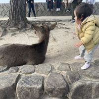 Mitsue Tokunaga的照片