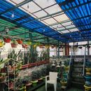 Pool & Terrace Holi Party! 🏊‍♂️🎨 (Private House)'s picture