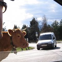 Ulrich Troalic's Photo