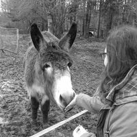 Fotos de Noémie Barrette