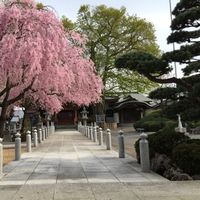 Takeo Yamaguchi's Photo