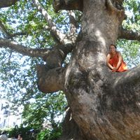 Marina Toufexi的照片