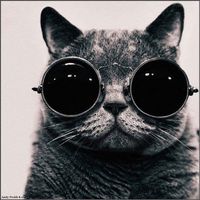 Viola Piovasco's Photo