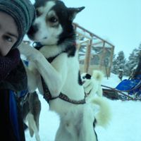 Niclas Scheer的照片