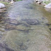 Rana Choudhary的照片