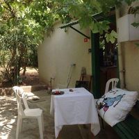 Rina Altaras的照片