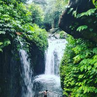 Yosua Dwi Putra Kusuma's Photo